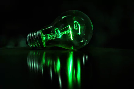  Green Light Bulb by Dewald Van Rensburg