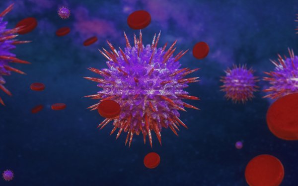 Artistic Virus HD Wallpaper | Background Image