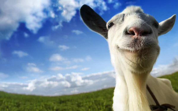goat video game Goat Simulator HD Desktop Wallpaper | Background Image