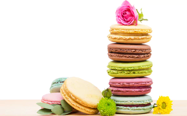 food macaron HD Desktop Wallpaper | Background Image