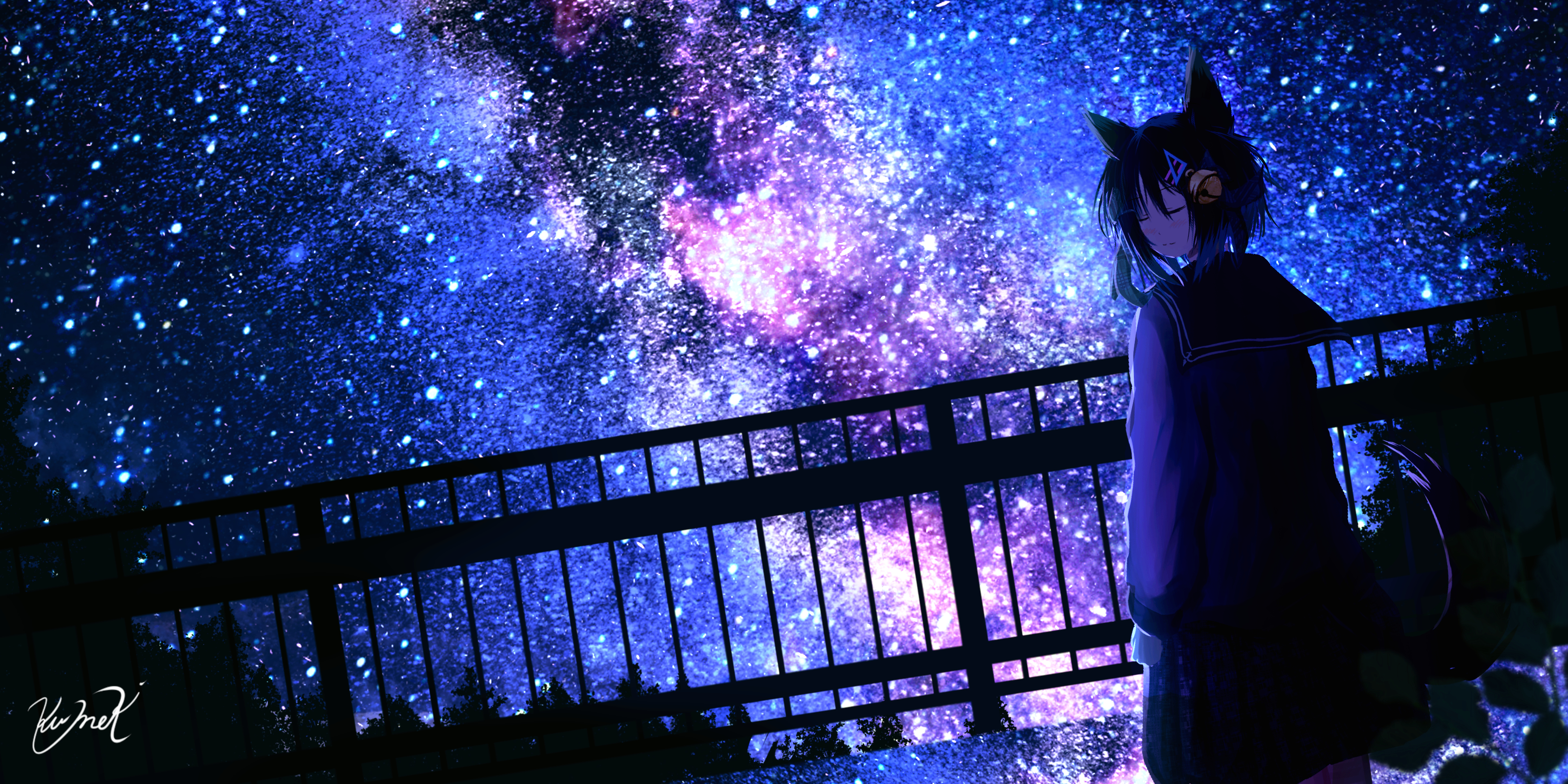 Download Black Hair Animal Ears Starry Sky Night Anime Download Black Hair Animal Ears Starry Sky Night Anime