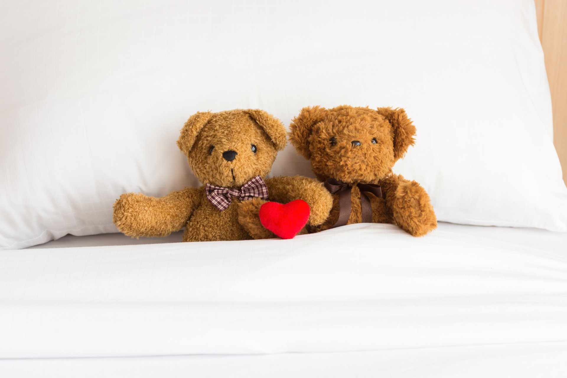 Download Teddy Bear Man Made Stuffed Animal 4k Ultra HD Wallpaper