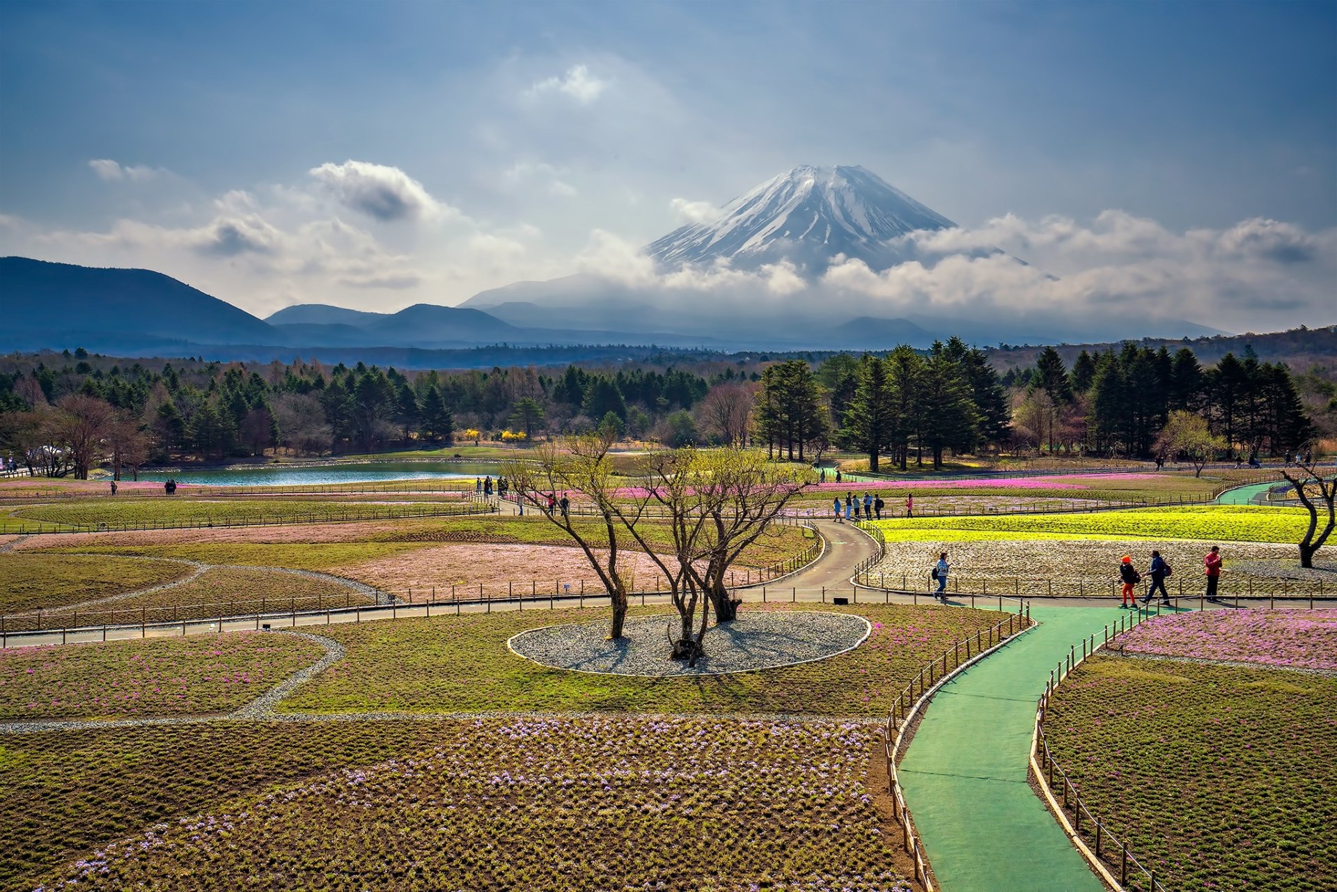 HD PC desktop wallpaper/background: Mount Fuji dominates a nature scene of flowering fields, winding green paths and scattered visitors under a blue sky.