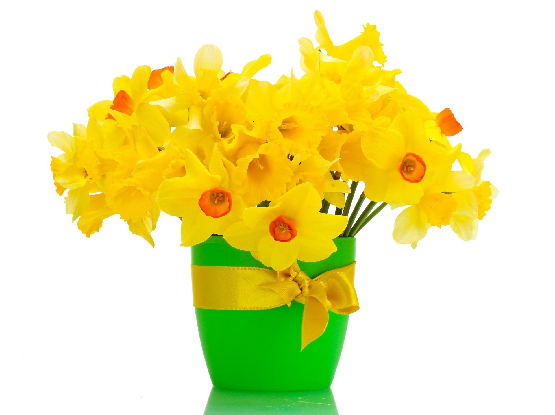 Download Narcissus Man Made Flower HD Wallpaper
