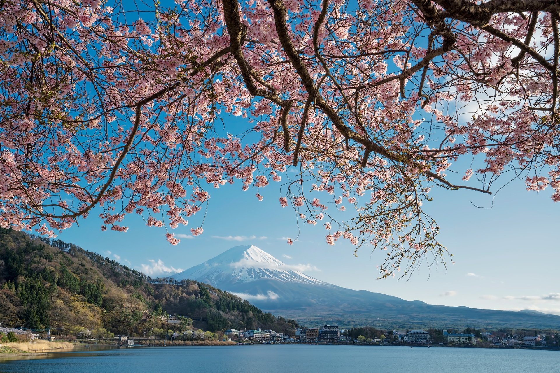 Download Nature Mount Fuji HD Wallpaper