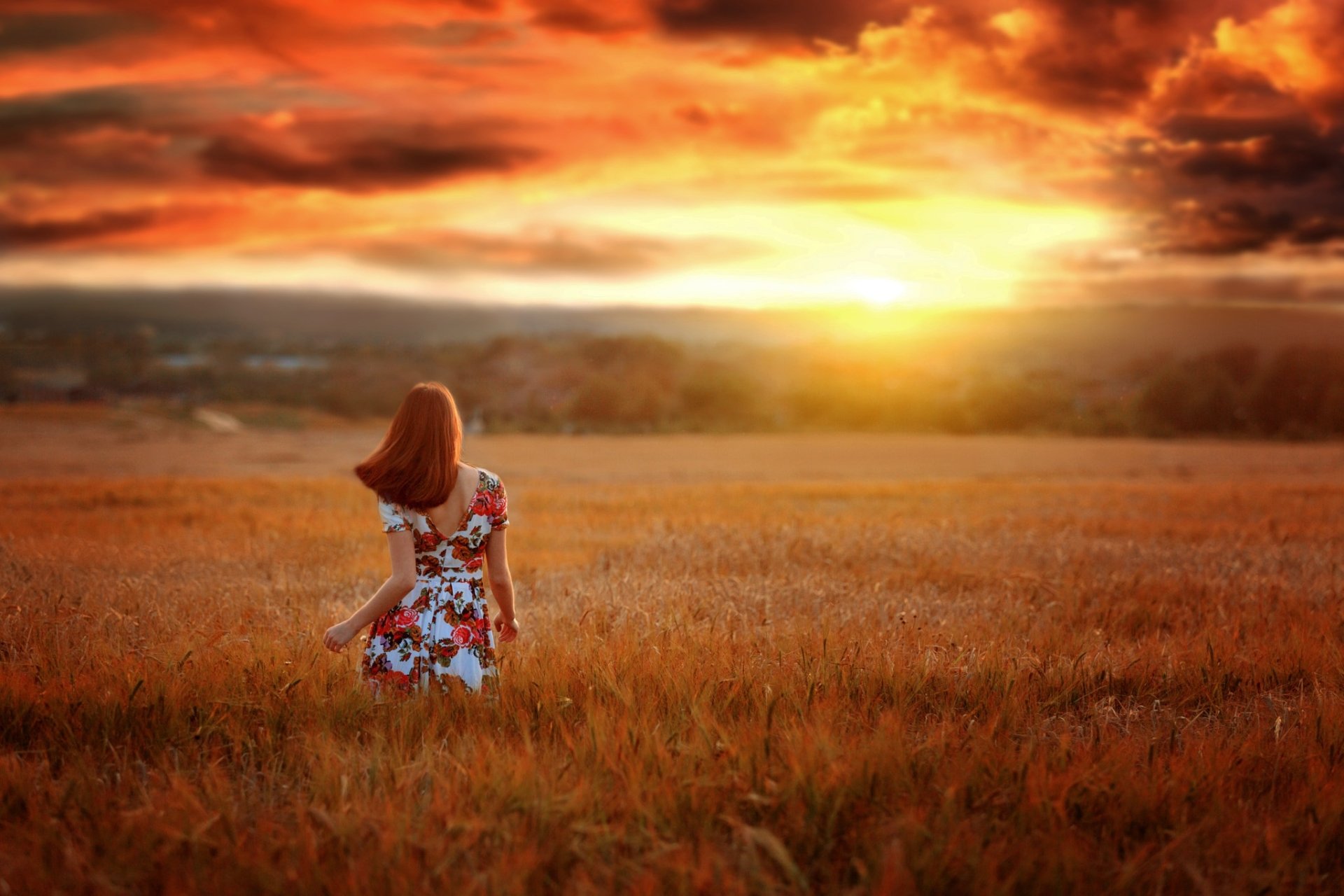Download Sunset Sky Field Woman Mood HD Wallpaper by Renat Fotov