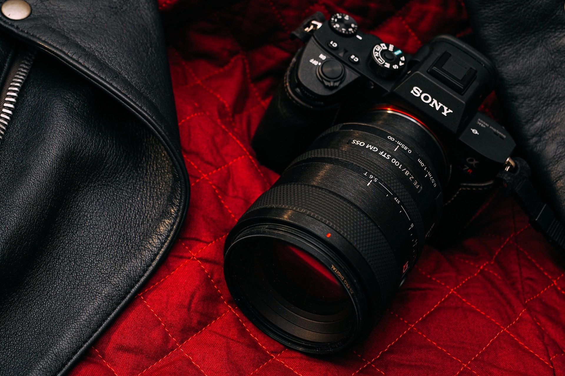 Sony A6600 Review: A Small but Mighty Mirrorless for Wildlife Photography  Enthusiasts — Oxbow Photography
