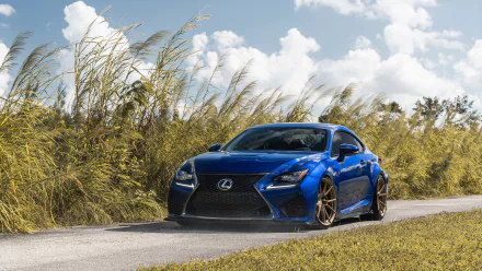 Lexus car vehicle Lexus RC F HD Desktop Wallpaper | Background Image