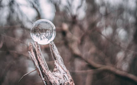 glass ball photography ball HD Desktop Wallpaper | Background Image