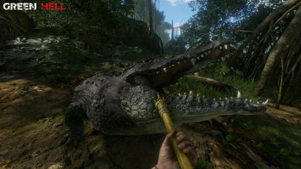 HD desktop wallpaper from Green Hell featuring a close encounter with a crocodile in a lush jungle environment.