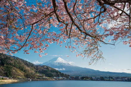 nature Mount Fuji HD Desktop Wallpaper | Background Image