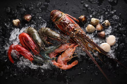 shrimp lobster scallop food seafood HD Desktop Wallpaper | Background Image