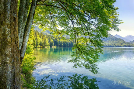 mountain forest nature lake HD Desktop Wallpaper | Background Image