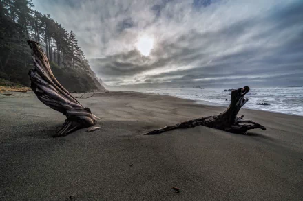 shore sea nature beach HD Desktop Wallpaper | Background Image