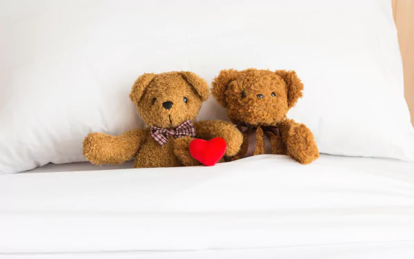 teddy bear man made stuffed animal HD Desktop Wallpaper | Background Image