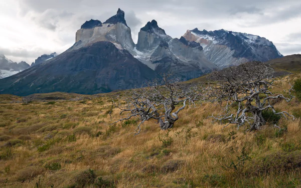 Torres del Paine National Park patagonia Chile nature Torres del Paine HD Desktop Wallpaper | Background Image