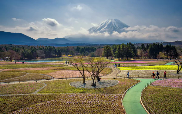 nature Mount Fuji HD Desktop Wallpaper | Background Image