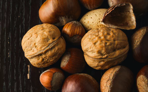 food nut HD Desktop Wallpaper | Background Image