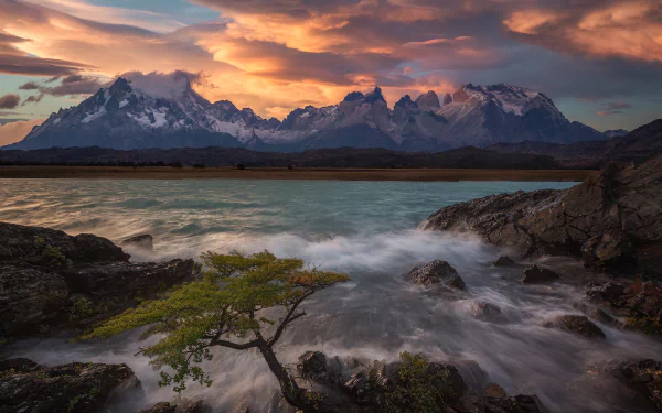 HD PC desktop wallpaper: a lone tree on a rocky shore with rushing water and the dramatic Torres del Paine mountains at sunset — striking nature mountain scene.