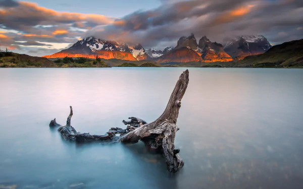  Chile, Patagonia, Torres del Paine national Park