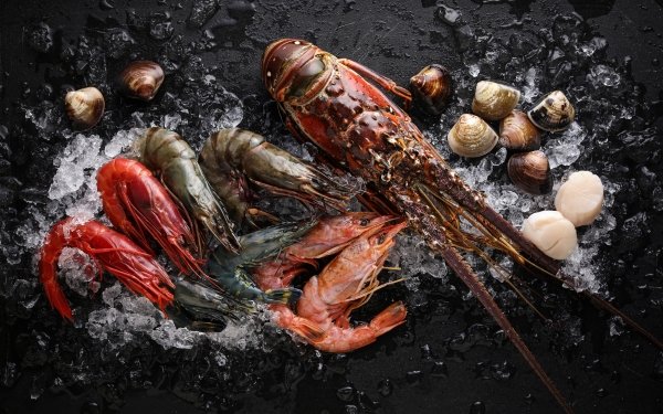 Food Seafood Scallop Lobster Shrimp HD Wallpaper | Background Image