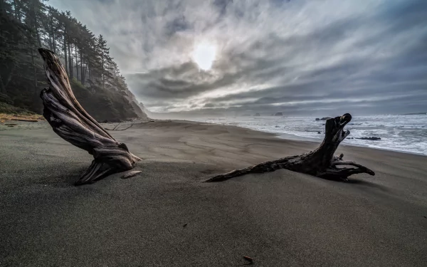 shore sea nature beach HD Desktop Wallpaper | Background Image