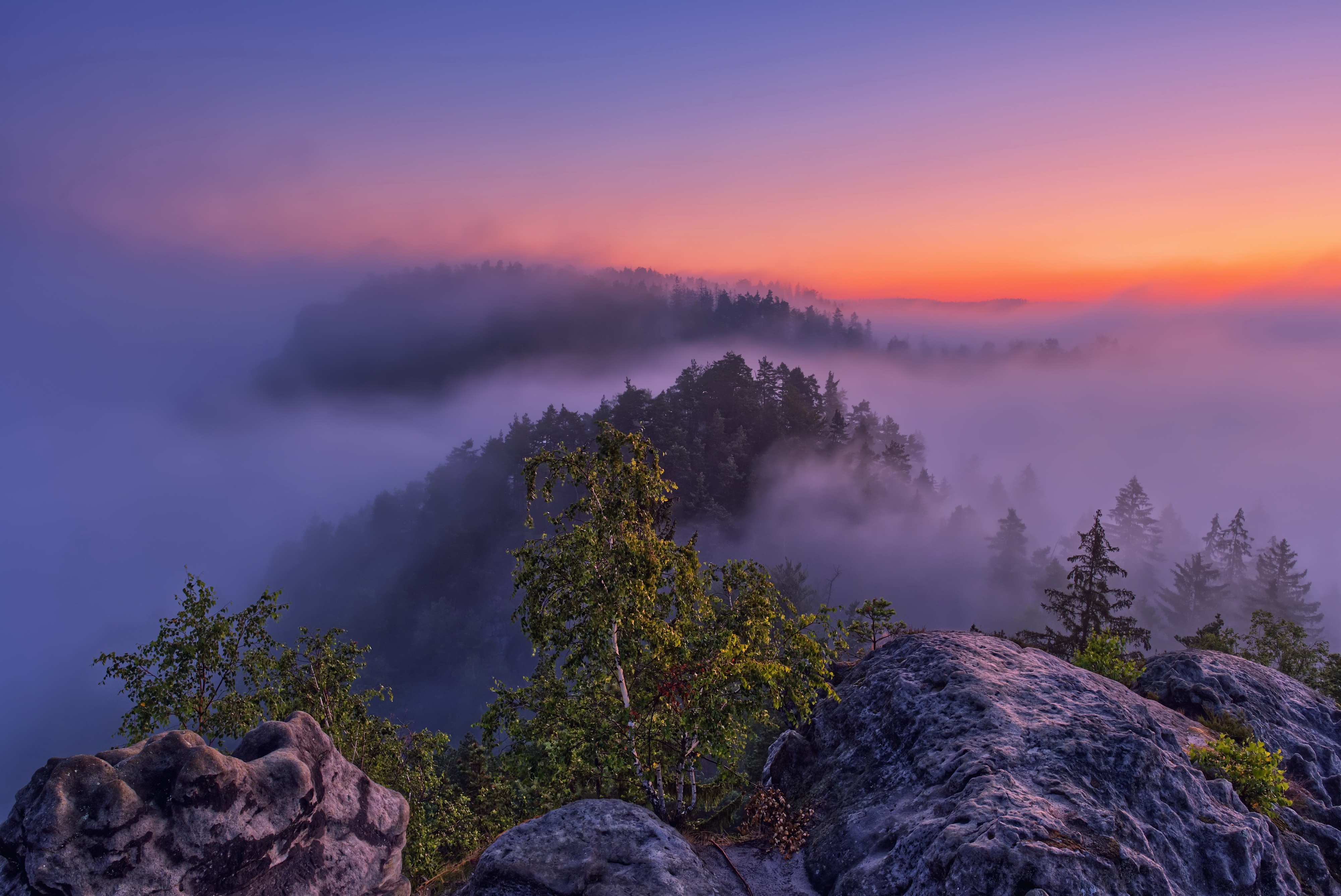 Download Sunset Tree Mountain Nature Fog 4k Ultra HD Wallpaper