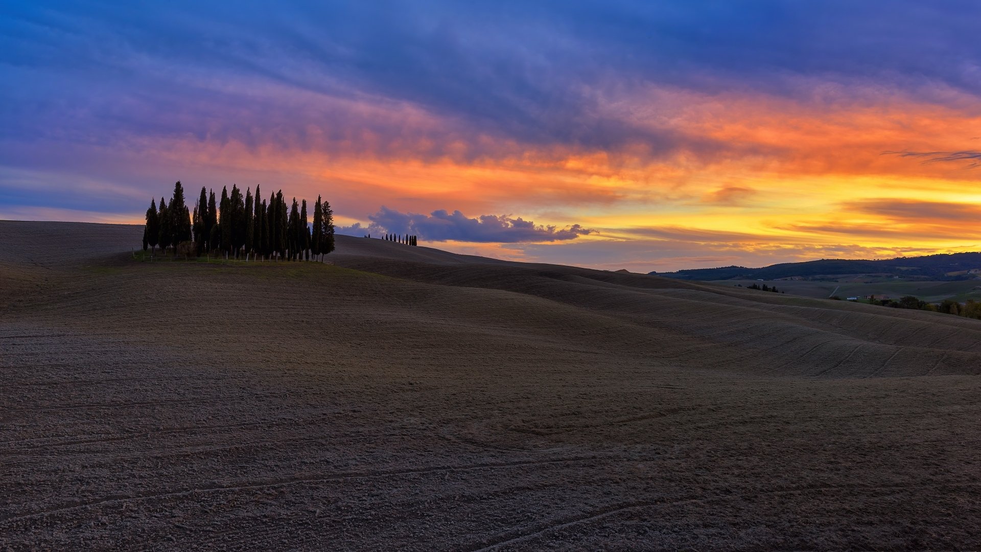 Download Sunset Cypress Landscape Photography Tuscany 4k Ultra HD Wallpaper