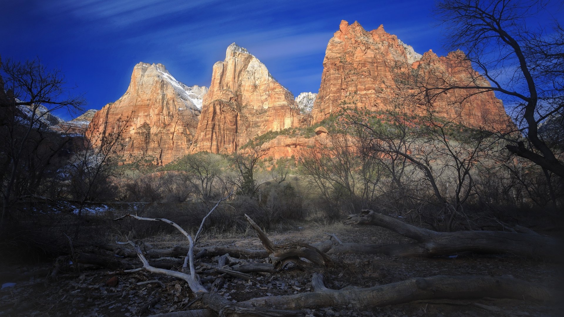 Download Cliff Tree Mountain Sky Nature Zion National Park 4k Ultra HD ...