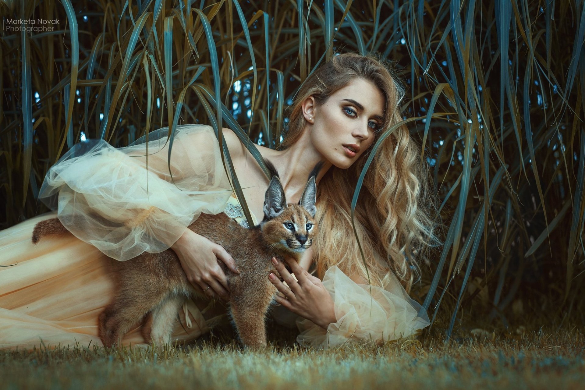 Download Caracal Dress Hair Andrea Zaleska Woman Mood HD Wallpaper by Marketa Novak