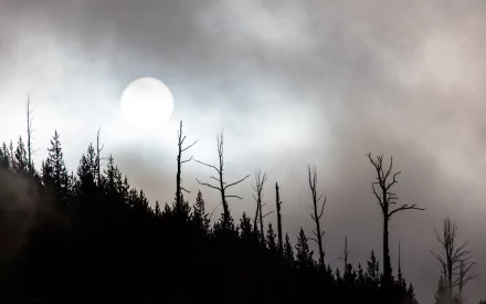 fog nature twilight moon HD Desktop Wallpaper | Background Image