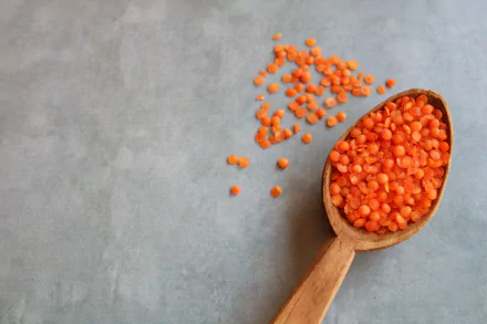  Red lentils in a wooden spoon by Mati Michael