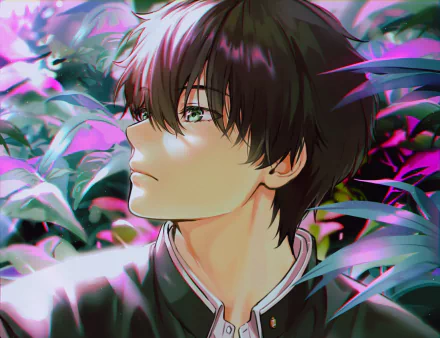 Hōtarō Oreki Anime Hyouka HD Desktop Wallpaper | Background Image