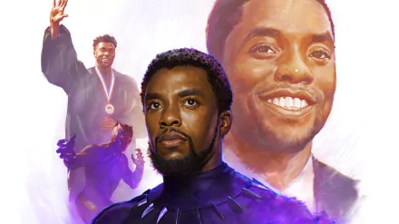 Black Panther (Movie) Black Panther (Marvel Comics) Celebrity Chadwick Boseman HD Desktop Wallpaper | Background Image