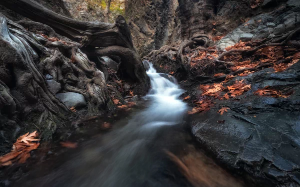 Cyprus nature stream HD Desktop Wallpaper | Background Image