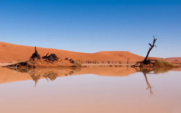 oasis nature desert HD Desktop Wallpaper | Background Image