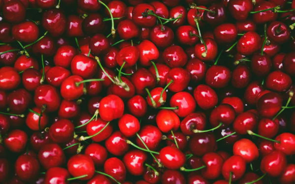food cherry HD Desktop Wallpaper | Background Image