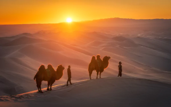 A HD desert landscape at sunset featuring a camel caravan with people walking across sand dunes, captured in warm sunlight for a striking desktop wallpaper.