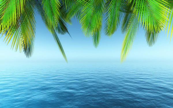 4K Ultra HD desktop wallpaper featuring lush green palm tree leaves framing a serene blue ocean under a clear sky, capturing the beauty of nature.