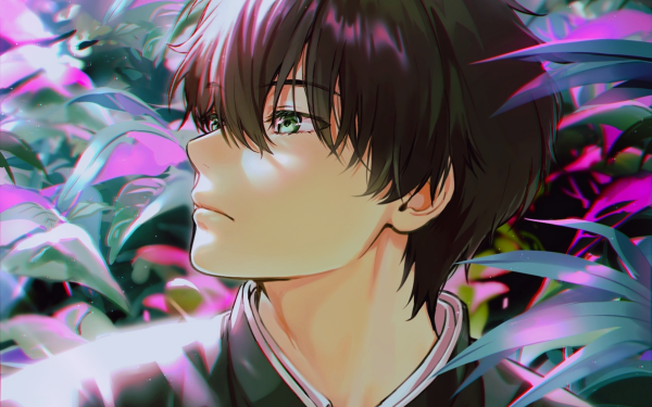 Anime Hyouka Hōtarō Oreki HD Wallpaper | Background Image
