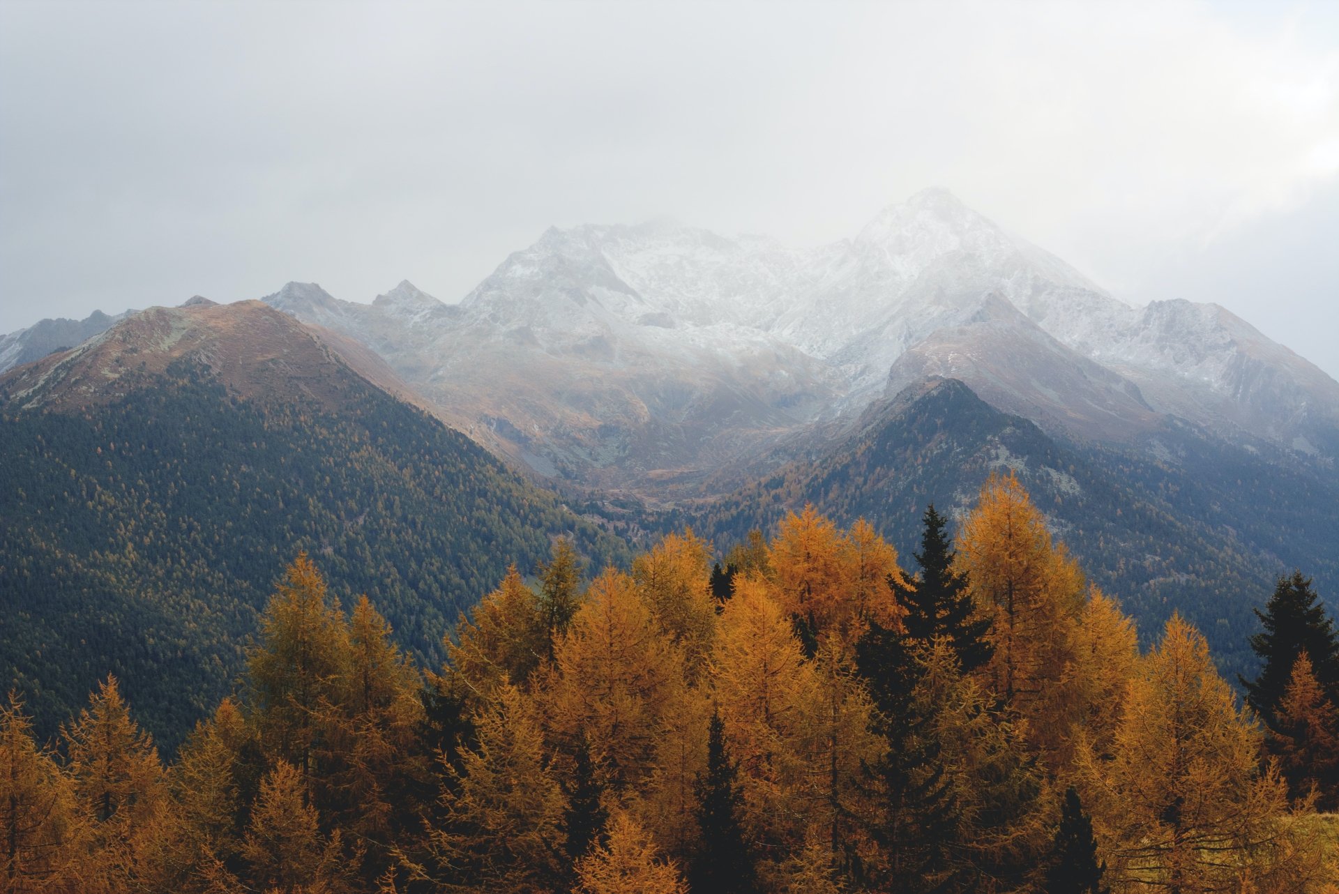 Misty Mountain Fall Forest – 4K Ultra HD Nature Wallpaper | 5496x3670 ...