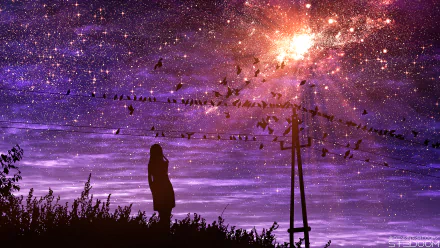 A 4K Ultra HD anime night sky wallpaper featuring a silhouette of a person standing beneath a vibrant, star-filled sky with birds perched on wires.