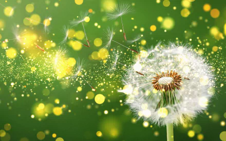 flower fluff macro nature dandelion HD Desktop Wallpaper | Background Image