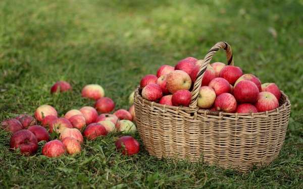 Food Apple Fruits Basket Fruit HD Wallpaper | Background Image