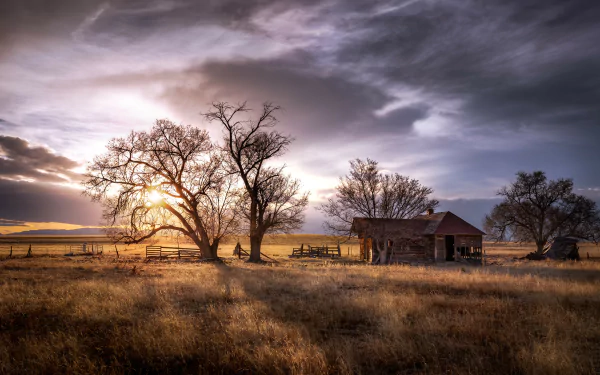  Colorado Homestead by Scott Book