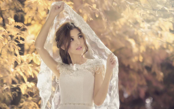 veil asian woman bride HD Desktop Wallpaper | Background Image