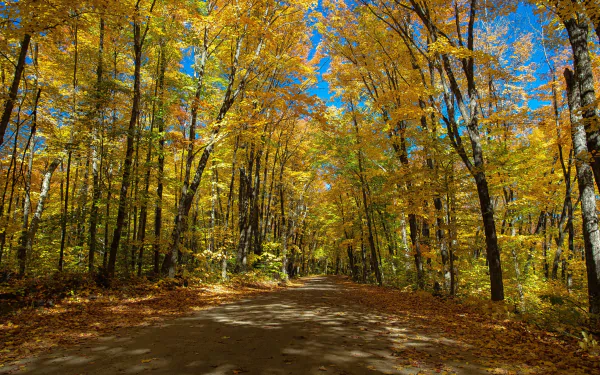 Algonquin Provincial Park