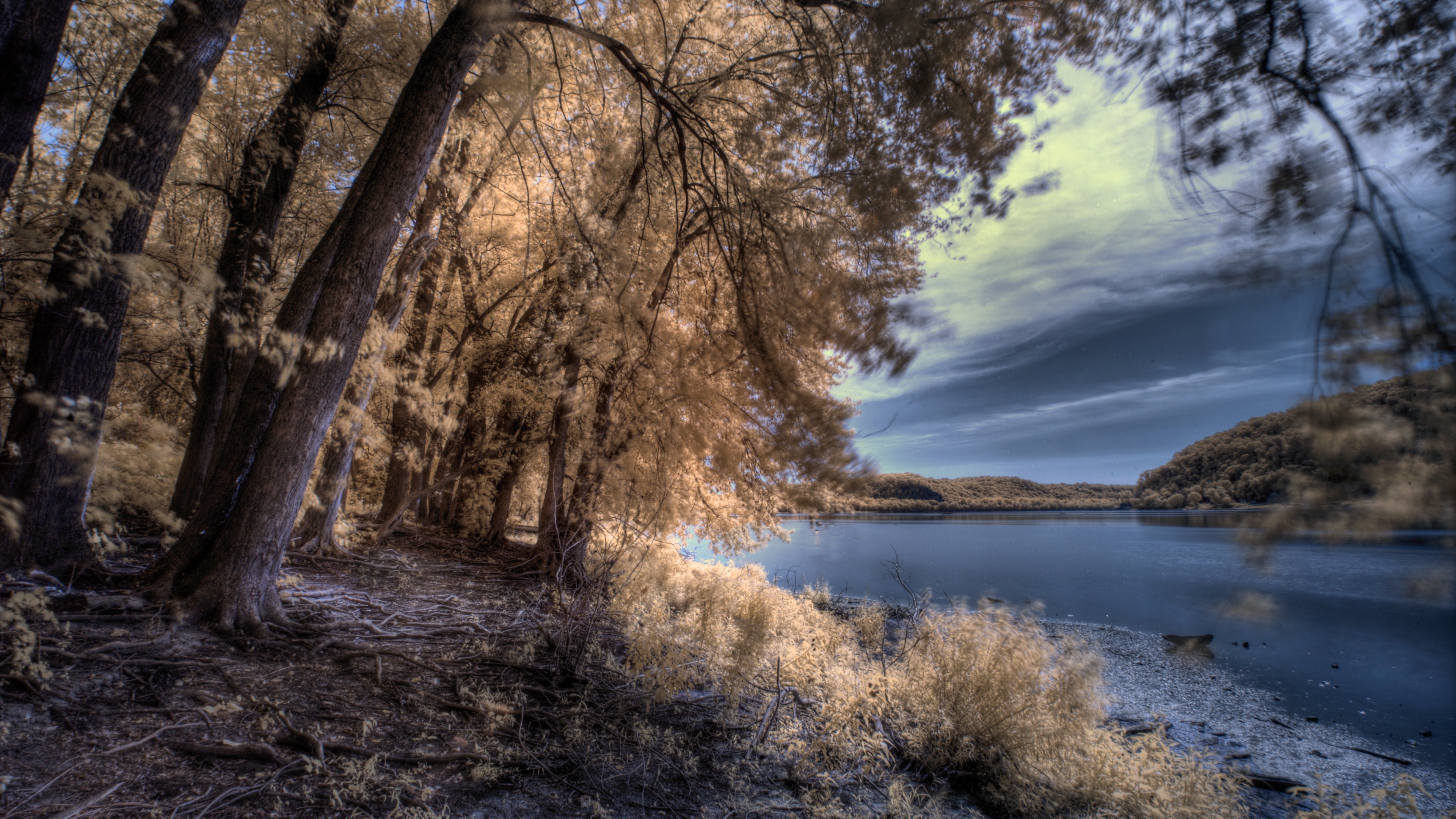Download Nature Forest River 4k Ultra HD Wallpaper