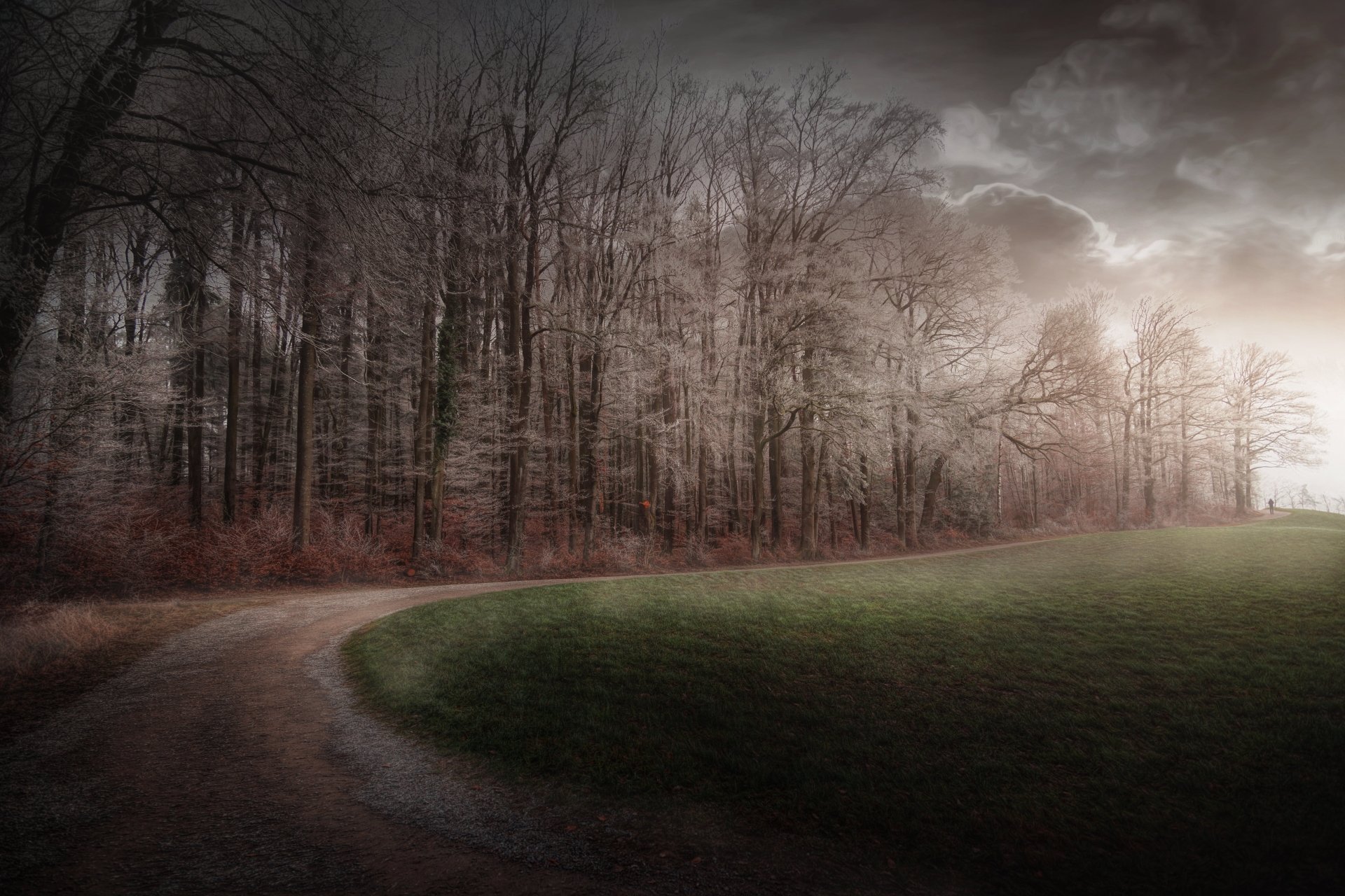 Download Fog Forest Man Made Road 4k Ultra HD Wallpaper | 5120x3413 ...