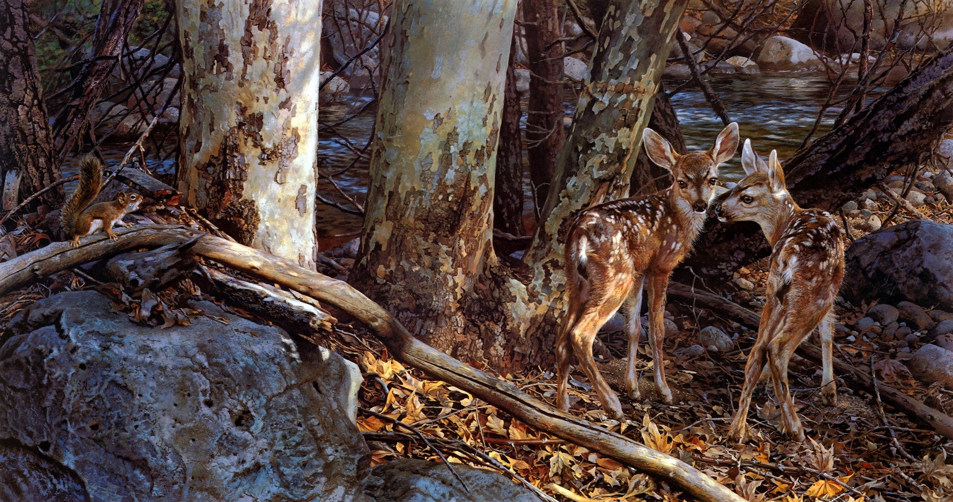 Download Fawn Nature Animal Deer 4k Ultra HD Wallpaper by Carl Brenders